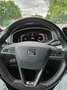 SEAT Tarraco Tarraco 2.0 TDI 4Drive DSG SCR Xcellence Grün - thumbnail 6