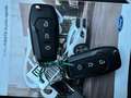 Ford Fiesta Fiesta VII 2017 5p 5p 1.1 Plus 85cv my19.5 Rot - thumbnail 13