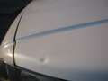 Ford Tourneo Connect 1.5 TDCI 120CV PL 7 Posti Frizione Rotta Bianco - thumbnail 9