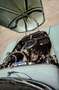 Volvo PV544 PV 544 B18 A Grün - thumbnail 24