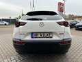 Mazda MX-30 2023 e-SKYACTIV ADVANTAGE Industrial Weiß - thumbnail 6