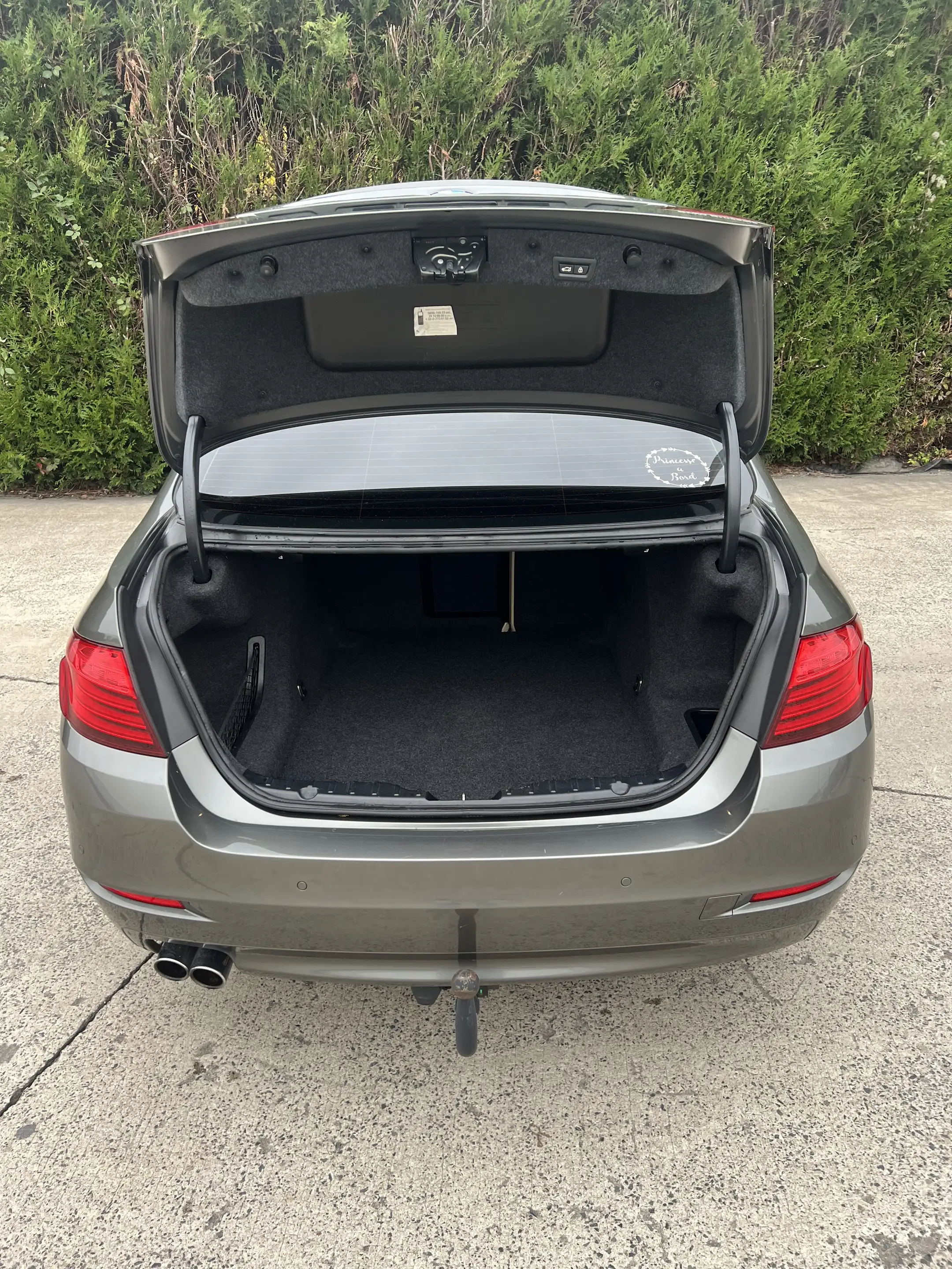 BMW 518 518 dA — photo 7