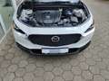 Mazda CX-30 Selection M Hybrid 2.0 SKYACTIVE- HUD Navi LED ACC Weiß - thumbnail 14