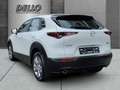 Mazda CX-30 Selection M Hybrid 2.0 SKYACTIVE- HUD Navi LED ACC Weiß - thumbnail 3