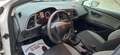 SEAT Leon 1.6TDI CR S&S Reference Eco. 110 Blanco - thumbnail 28
