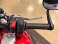 Triumph Speed Twin 1200 Rosso - thumbnail 12