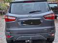 Ford EcoSport ECOSPORT 1.0 EcoBoost TITANIUM Grau - thumbnail 2