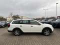 Dacia Logan MCV Stepway TCe100 ECO-G AZV WR Blanc - thumbnail 4