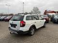 Dacia Logan MCV Stepway TCe100 ECO-G AZV WR Blanc - thumbnail 5
