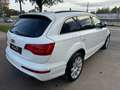 Audi Q7 3,0 TDI quattro DPF Tiptronic 3XSLINE PANO 7-SI... Weiß - thumbnail 7