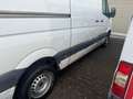 Mercedes-Benz Sprinter 210/211/213/214/216 CDI (906.611/613) Blanco - thumbnail 11
