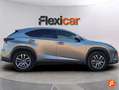 Lexus NX 300 300h Executive Navigation 4WD Gris - thumbnail 5
