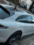Porsche Panamera Sport Turismo GTS MATRIX~HUD~EL.GSD~360 Grey - thumbnail 5