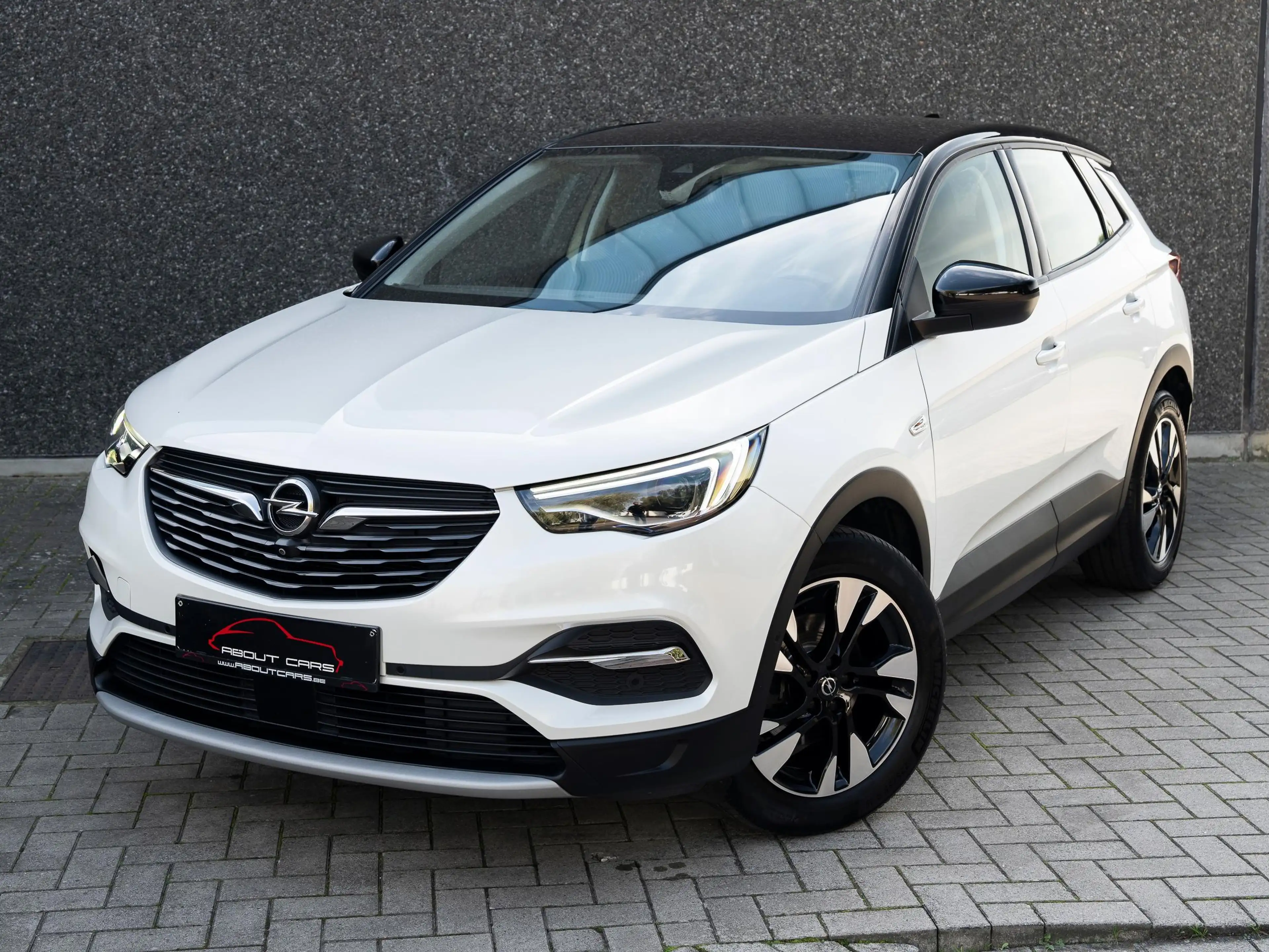 Opel Grandland X Grandland X 1.6 Turbo ** Nieuwstaat **