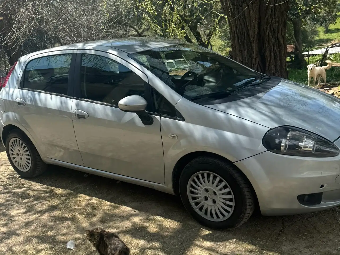 Fiat Grande Punto Grande Punto III 2005 5p 1.3 mjt 16v Active 75cv Grigio - 1