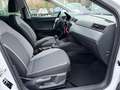 SEAT Ibiza Style 1.0 EcoTSI LED Navi Weiß - thumbnail 13