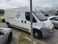 Fiat Ducato Grossr.-Kasten 35 120  L4 Weiß - thumbnail 4