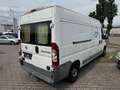 Fiat Ducato Grossr.-Kasten 35 120  L4 Weiß - thumbnail 5