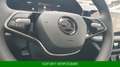 Skoda Fabia 1.0 TSI Selection *TEMPO*SHZ*VirtualCo*PDC Grau - thumbnail 23