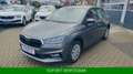 Skoda Fabia 1.0 TSI Selection *TEMPO*SHZ*VirtualCo*PDC Grau - thumbnail 1