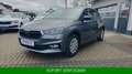 Skoda Fabia 1.0 TSI Selection *TEMPO*SHZ*VirtualCo*PDC Grau - thumbnail 8