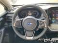 Subaru Crosstrek SOMO Edition Comfort Plus Navi 360 Kamera LED Kurv Plateado - thumbnail 14