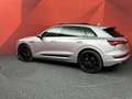 Audi e-tron 50 quattro Launch edition Black 71 kWh SOH 92% | C Grijs - thumbnail 21
