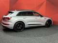 Audi e-tron 50 quattro Launch edition Black 71 kWh SOH 92% | C Grijs - thumbnail 19