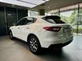 Maserati Levante 3.0 V6 250 Cv , ADAS Driver ass. pack plus Bianco - thumbnail 6