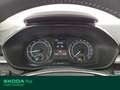 Skoda Fabia 1.0 mpi evo ambition 80cv Nero - thumbnail 8