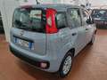Fiat Panda 1.2 EASY 69cv Oro - thumbnail 5