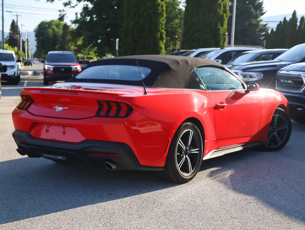 Ford Mustang fotografie Ford Mustang