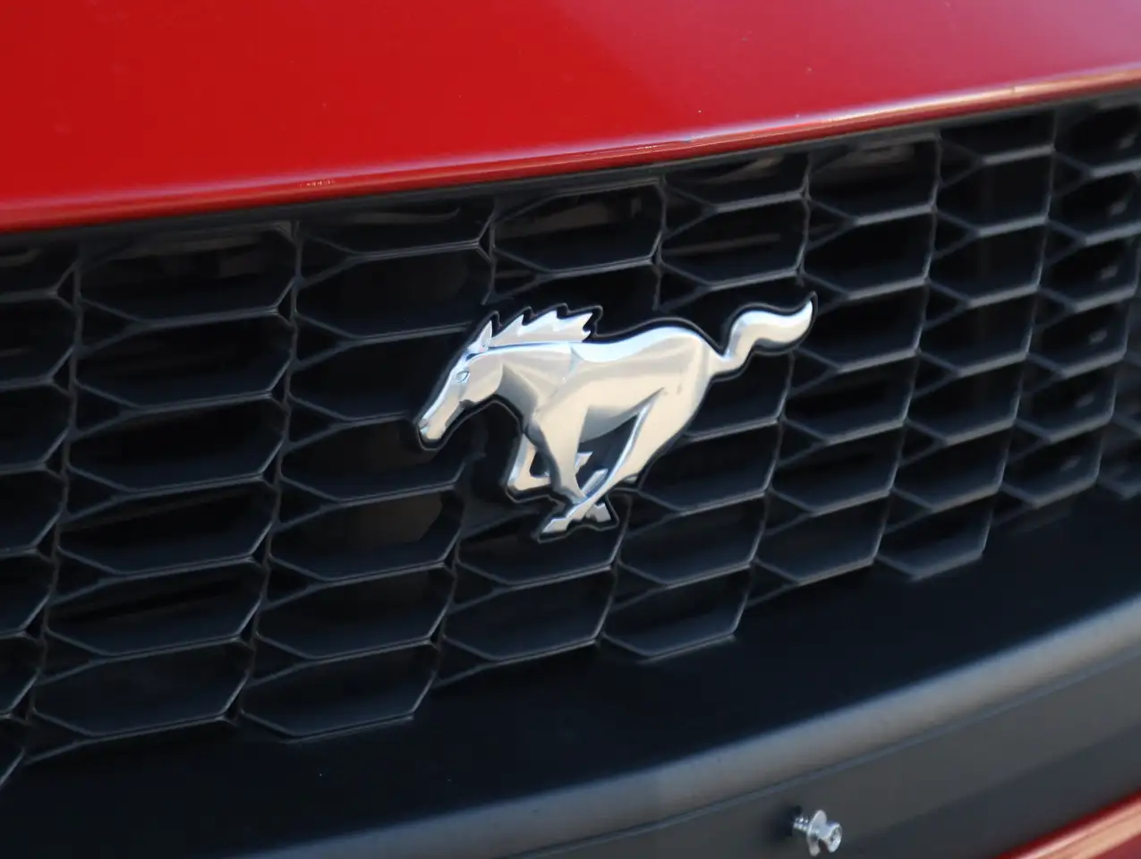 Ford Mustang fotografie Ford Mustang