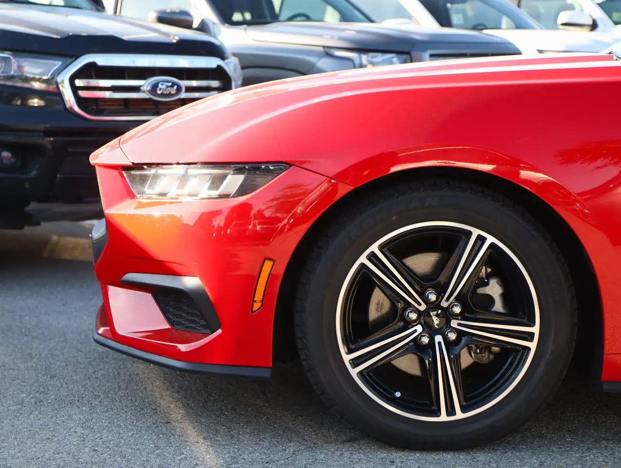 Ford Mustang fotografie Ford Mustang