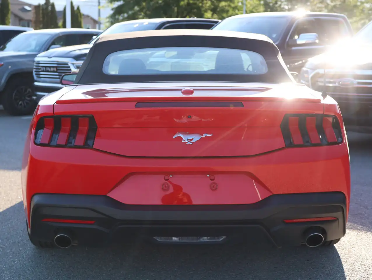 Ford Mustang fotografie Ford Mustang