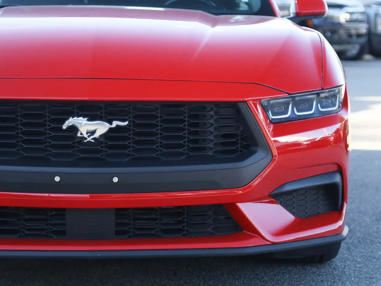 Ford Mustang fotografie Ford Mustang