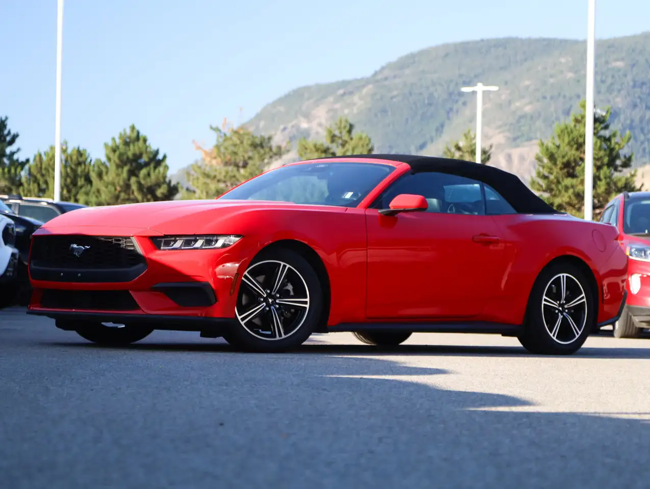 Ford Mustang fotografie Ford Mustang