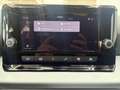 SEAT Arona STYLE DSG RFK PDC 1.0 TSI DSG 85kW/115PS EURO6 Grau - thumbnail 19
