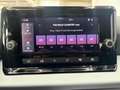 SEAT Arona STYLE DSG RFK PDC 1.0 TSI DSG 85kW/115PS EURO6 Grau - thumbnail 16