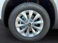Skoda Karoq 1,0 TSI Selection Weiß - thumbnail 3