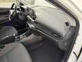 Hyundai i20 Weiß - thumbnail 22