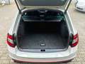 Skoda Octavia RS 4x4/VIRTUAL/PANO/CANTON/ACC/DCC/AHK Grau - thumbnail 23
