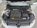 Volkswagen Golf Lounge 1,6 BMT TDI 4Motion - thumbnail 11