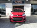 Fiat Panda NEW Panda MY 25 1.0 FireFly S&S Hybrid 70 cv Rosso - thumbnail 2