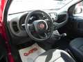 Fiat Panda NEW Panda MY 25 1.0 FireFly S&S Hybrid 70 cv Rosso - thumbnail 9