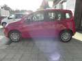 Fiat Panda NEW Panda MY 25 1.0 FireFly S&S Hybrid 70 cv Rosso - thumbnail 8