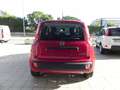 Fiat Panda NEW Panda MY 25 1.0 FireFly S&S Hybrid 70 cv Rosso - thumbnail 6