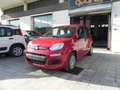 Fiat Panda NEW Panda MY 25 1.0 FireFly S&S Hybrid 70 cv Rosso - thumbnail 1