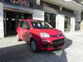 Fiat Panda NEW Panda MY 25 1.0 FireFly S&S Hybrid 70 cv Rosso - thumbnail 3