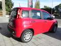 Fiat Panda NEW Panda MY 25 1.0 FireFly S&S Hybrid 70 cv Rosso - thumbnail 5